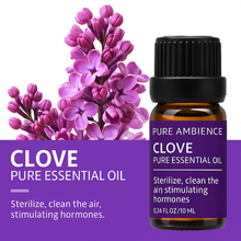 Load image into Gallery viewer, Pure Ambience Essentials