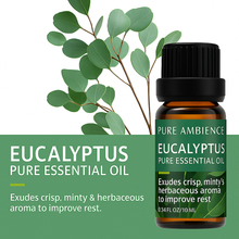 Load image into Gallery viewer, Pure Ambience Essentials