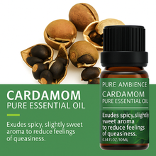 Load image into Gallery viewer, Pure Ambience Essentials