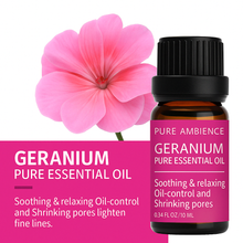 Load image into Gallery viewer, Pure Ambience Essentials